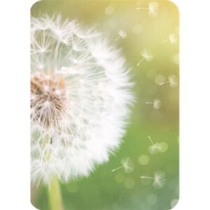 Saberes Sistêmicos para uma Vida mais Leve - Imagem 6