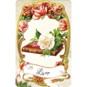 Lenor-Rosas - Imagem 6