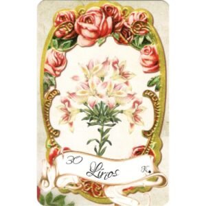 Lenor-Rosas - Imagem 7