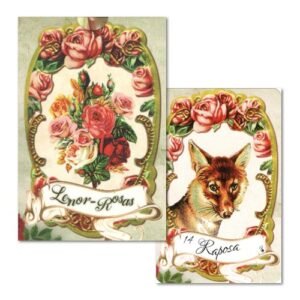 Lenor-Rosas - Imagem 10