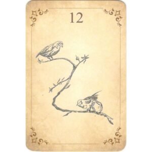 Baralho Camellia - Imagem 3