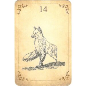 Baralho Camellia - Imagem 5