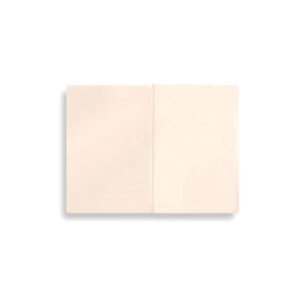 Journal - Os Gregos de Racinet - Imagem 4