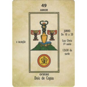 O Tarô Adivinhatório (Livro + Cartas) - Imagem 6