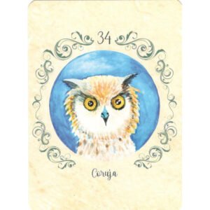 Sibila da Estrada - Imagem 7