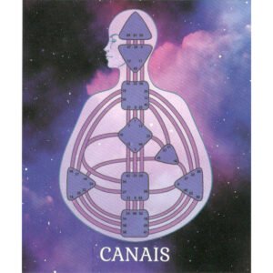 Oráculo Cósmico - Imagem 2