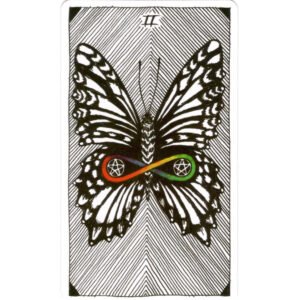 Tarô Desconhecido Selvagem (Livro + Cartas) - Imagem 3