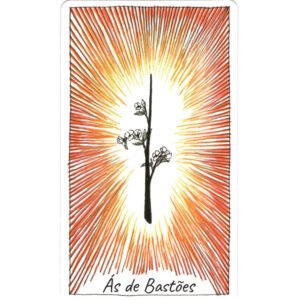 Tarô Desconhecido Selvagem (Livro + Cartas) - Imagem 5