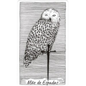 Tarô Desconhecido Selvagem (Livro + Cartas) - Imagem 7