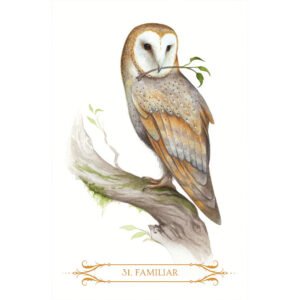 A Compendium of Witches - Imagem 4