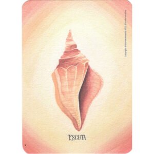 Oráculo da Criança Divina (Livro + Cartas) - Imagem 4