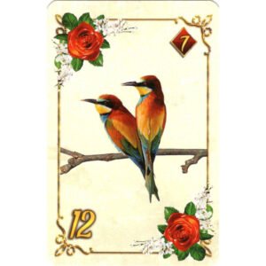 Rosalinda Lenormand - Imagem 4
