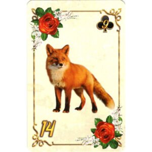 Rosalinda Lenormand - Imagem 6