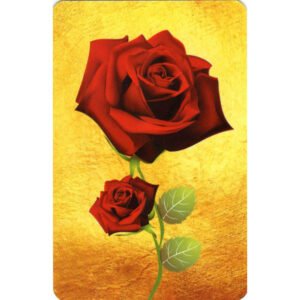 Rosalinda Lenormand - Imagem 8