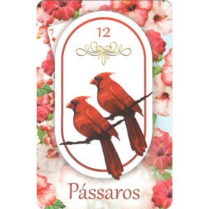 Hibisco Lenormand - Imagem 5