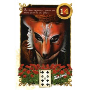 Maria Padilha Lenormand - Imagem 4