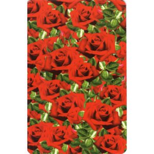 Maria Padilha Lenormand - Imagem 8