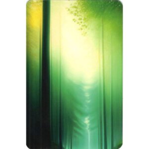 Bosque Mágico Lenormand - Imagem 8