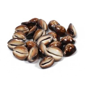 Jogo de Buzios Marrom