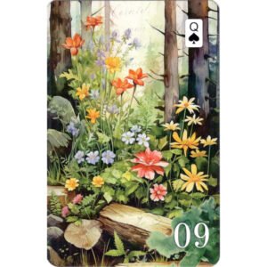 Floresta das Visões Lenormand - Imagem 5