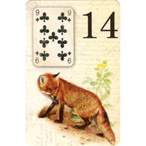 Colibri Azul Lenormand - Imagem 5
