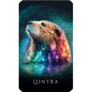 Oráculo Mágico dos Animais Sagrados (Livro + Cartas) - Imagem 5