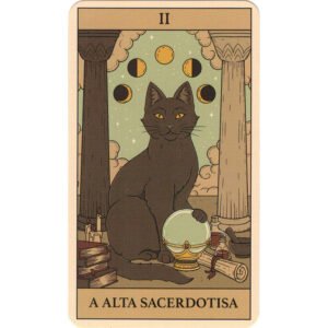 Tarô Mágico dos Gatos (Livro + Cartas) - Imagem 2