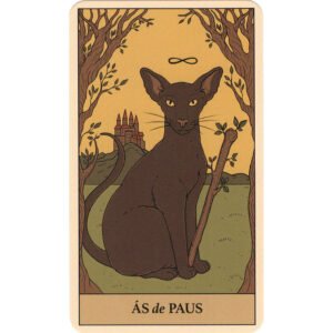 Tarô Mágico dos Gatos (Livro + Cartas) - Imagem 3