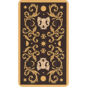 Tarô Mágico dos Gatos (Livro + Cartas) - Imagem 9