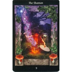 Sacred Circle Tarot - Imagem 9