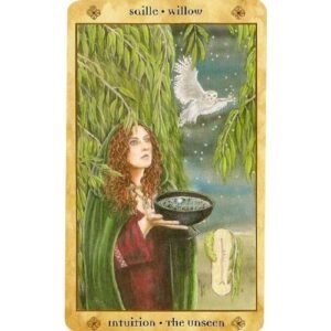 Voice of the Trees - Imagem 5