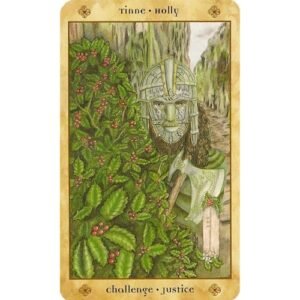 Voice of the Trees - Imagem 6