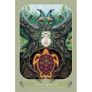 Messenger Oracle - Imagem 9