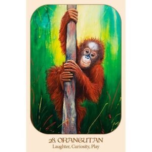 Animal Voices - Imagem 5