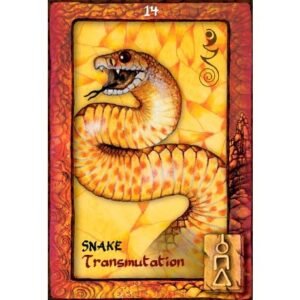 Animal Dreaming - Imagem 6