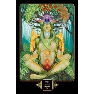 Dreams of Gaia Tarot - Imagem 8