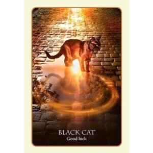 Divination of the Ancients - Imagem 5