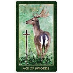 Forest Folklore Tarot - Imagem 4