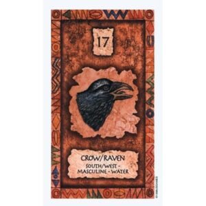 Shaman Wisdom Cards - Imagem 4