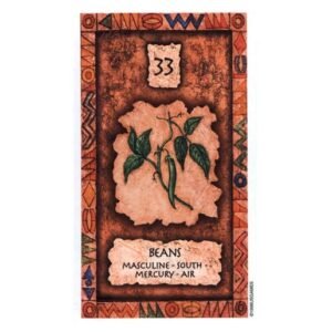 Shaman Wisdom Cards - Imagem 3