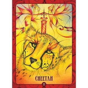 Ancient Animal Wisdom - Imagem 6