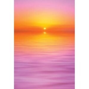 The Flower of Life - Imagem 8