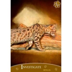 Cats Inspirational Oracle Cards - Imagem 3