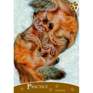 Cats Inspirational Oracle Cards - Imagem 5