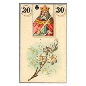 French Cartomancy - Imagem 9