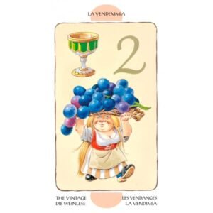 Tarot of The Gnomes - Tarô dos Gnomos - Edição de Bolso - Imagem 4