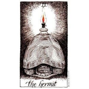 The Wild Unknown Tarot - Imagem 3