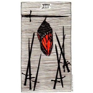The Wild Unknown Tarot - Imagem 8