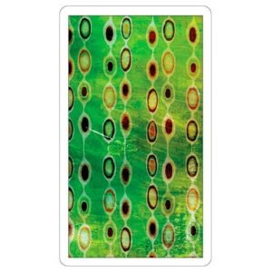 Dreaming Way Tarot - Imagem 8