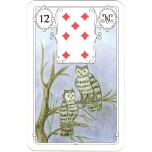 Mlle Lenormand - White Owl - Imagem 5